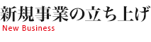 新規事業の立ち上げ